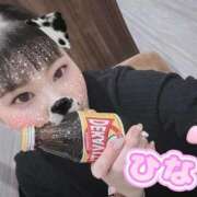 ヒメ日記 2025/11/14 11:49 投稿 ひな club さくら日本橋店