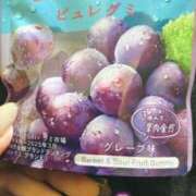 ひな ひな（clubさくら日本橋店） club さくら日本橋店