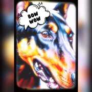 ヒメ日記 2025/03/21 11:31 投稿 おとは 奥様の実話 なんば店