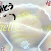 ヒメ日記 2025/04/09 13:43 投稿 おとは 奥様の実話 なんば店