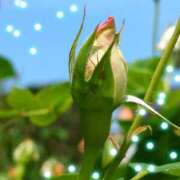 ヒメ日記 2025/05/02 12:17 投稿 おとは 奥様の実話 なんば店