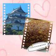 ヒメ日記 2025/09/02 13:15 投稿 おとは 奥様の実話 なんば店