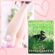 ヒメ日記 2025/09/17 11:15 投稿 おとは 奥様の実話 なんば店