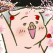 ヒメ日記 2025/03/24 14:50 投稿 さりな 新宿・新大久保おかあさん