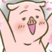 ヒメ日記 2025/04/12 12:00 投稿 さりな 新宿・新大久保おかあさん