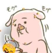 ヒメ日記 2025/05/30 11:30 投稿 さりな 新宿・新大久保おかあさん