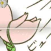 ヒメ日記 2025/06/05 08:50 投稿 さりな 新宿・新大久保おかあさん