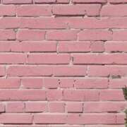 ヒメ日記 2025/08/06 17:20 投稿 さりな 新宿・新大久保おかあさん