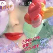 ヒメ日記 2025/08/16 10:50 投稿 さりな 新宿・新大久保おかあさん