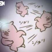 ヒメ日記 2025/08/17 12:30 投稿 さりな 新宿・新大久保おかあさん