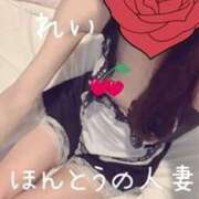 ヒメ日記 2025/02/04 16:18 投稿 怜-れい【FG系列】 ほんとうの人妻 横浜本店