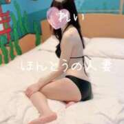 ヒメ日記 2025/09/09 10:19 投稿 怜-れい【FG系列】 ほんとうの人妻 横浜本店