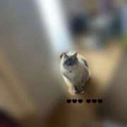 ヒメ日記 2025/05/22 13:45 投稿 ココア【トキメキロリ巨乳】 バニーコレクション 中洲店