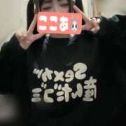 ヒメ日記 2025/09/02 08:51 投稿 ココア【トキメキロリ巨乳】 バニーコレクション 中洲店