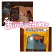 ヒメ日記 2025/11/07 02:32 投稿 ココア【トキメキロリ巨乳】 バニーコレクション 中洲店