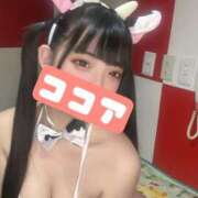 ヒメ日記 2026/02/19 13:22 投稿 ココア【トキメキロリ巨乳】 バニーコレクション 中洲店