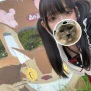 ヒメ日記 2026/03/30 15:47 投稿 ココア【トキメキロリ巨乳】 バニーコレクション 中洲店