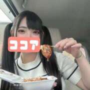 ヒメ日記 2026/04/10 08:02 投稿 ココア【トキメキロリ巨乳】 バニーコレクション 中洲店