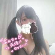 ヒメ日記 2026/04/20 00:56 投稿 ココア【トキメキロリ巨乳】 バニーコレクション 中洲店