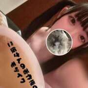 ヒメ日記 2026/04/20 12:06 投稿 ココア【トキメキロリ巨乳】 バニーコレクション 中洲店