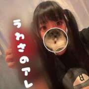 ヒメ日記 2026/04/20 17:55 投稿 ココア【トキメキロリ巨乳】 バニーコレクション 中洲店