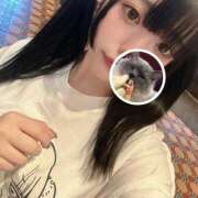 ヒメ日記 2026/04/21 14:59 投稿 ココア【トキメキロリ巨乳】 バニーコレクション 中洲店