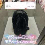 ヒメ日記 2026/05/17 19:34 投稿 ココア【トキメキロリ巨乳】 バニーコレクション 中洲店