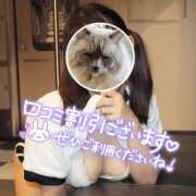 ヒメ日記 2026/06/01 12:43 投稿 ココア【トキメキロリ巨乳】 バニーコレクション 中洲店