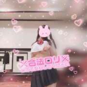 ヒメ日記 2026/06/01 20:14 投稿 ココア【トキメキロリ巨乳】 バニーコレクション 中洲店