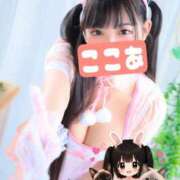 ヒメ日記 2026/07/24 21:35 投稿 ココア【トキメキロリ巨乳】 バニーコレクション 中洲店