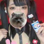 ヒメ日記 2026/09/20 14:01 投稿 ココア【トキメキロリ巨乳】 バニーコレクション 中洲店