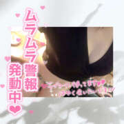 ヒメ日記 2025/05/16 17:18 投稿 茜 モアグループ所沢人妻城