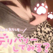 ヒメ日記 2025/06/06 15:27 投稿 茜 モアグループ所沢人妻城