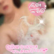 ヒメ日記 2025/12/03 15:51 投稿 茜 モアグループ所沢人妻城