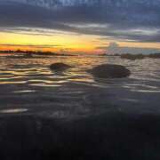 ヒメ日記 2025/08/15 23:09 投稿 あいる サンキュー町田・相模原店