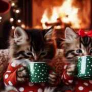 ヒメ日記 2024/12/17 13:56 投稿 深澤涼 五十路マダムエクスプレス船橋店(カサブランカグループ)