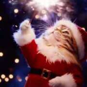 ヒメ日記 2024/12/24 23:02 投稿 深澤涼 五十路マダムエクスプレス船橋店(カサブランカグループ)