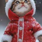 ヒメ日記 2024/12/28 19:14 投稿 深澤涼 五十路マダムエクスプレス船橋店(カサブランカグループ)