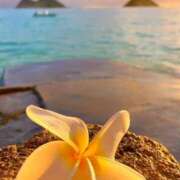 ヒメ日記 2025/01/02 23:16 投稿 深澤涼 五十路マダムエクスプレス船橋店(カサブランカグループ)