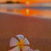 ヒメ日記 2025/01/04 18:40 投稿 深澤涼 五十路マダムエクスプレス船橋店(カサブランカグループ)