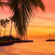 ヒメ日記 2025/01/09 22:40 投稿 深澤涼 五十路マダムエクスプレス船橋店(カサブランカグループ)