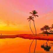 ヒメ日記 2025/01/22 01:16 投稿 深澤涼 五十路マダムエクスプレス船橋店(カサブランカグループ)