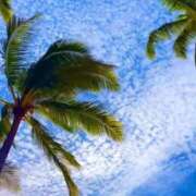 ヒメ日記 2025/02/04 09:00 投稿 深澤涼 五十路マダムエクスプレス船橋店(カサブランカグループ)