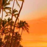 ヒメ日記 2025/02/06 21:32 投稿 深澤涼 五十路マダムエクスプレス船橋店(カサブランカグループ)