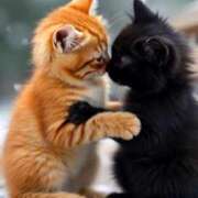 ヒメ日記 2025/02/14 21:32 投稿 深澤涼 五十路マダムエクスプレス船橋店(カサブランカグループ)