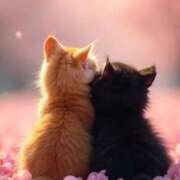 ヒメ日記 2025/03/02 18:20 投稿 深澤涼 五十路マダムエクスプレス船橋店(カサブランカグループ)