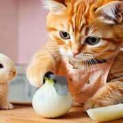 ヒメ日記 2025/03/07 00:12 投稿 深澤涼 五十路マダムエクスプレス船橋店(カサブランカグループ)