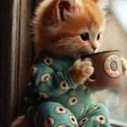 ヒメ日記 2025/03/15 17:26 投稿 深澤涼 五十路マダムエクスプレス船橋店(カサブランカグループ)