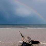 ヒメ日記 2025/04/03 14:42 投稿 深澤涼 五十路マダムエクスプレス船橋店(カサブランカグループ)