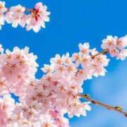 ヒメ日記 2025/04/05 09:40 投稿 深澤涼 五十路マダムエクスプレス船橋店(カサブランカグループ)